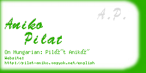 aniko pilat business card